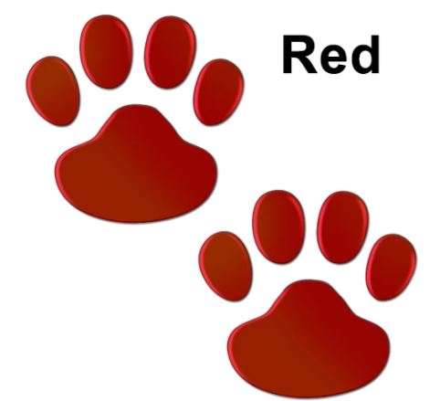 1pair/set 3D Stickers Paw Animal Dog Cat Cool Design Bear Foot Prints Footprint Decal Car Stickers for Auto Motorcycle